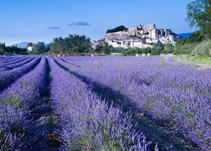 Maison Provencale Dans Un Cadre Bucolique Grignan