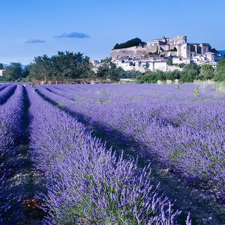 Maison Provencale Dans Un Cadre Bucolique Grignan